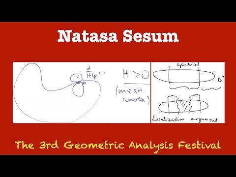 [3rd GAF MC] Natasa Sesum 01 Ancient solutions to geometric flows