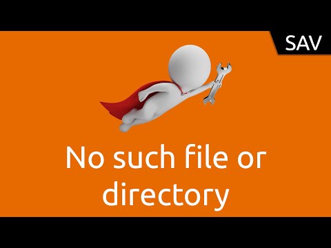 SAV No such file or directory