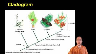 Bio 12.1.3-12.2 - Cladistics and Cladograms