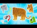 What Kind Of Animal Is The Leopard Learn About The Jungle With The Superzoo Team
