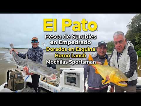 PESCA DE SURUBI EN EMPEDRADO Y DORADOS EN ESQUINA - EL PATO TV 1255