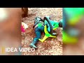 BAD DAY Better Watch This 😂 Best Funny & Fails Of The Year 2023 Part 8