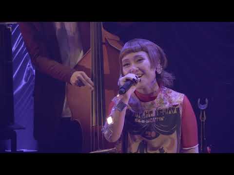 EGO-WRAPPIN’『カーテンコール』LIVE