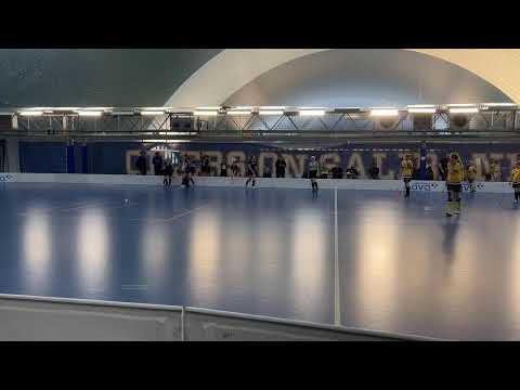 T14 Fcb Raasepori - ErVi