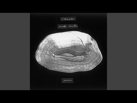 Paino - STINAKO