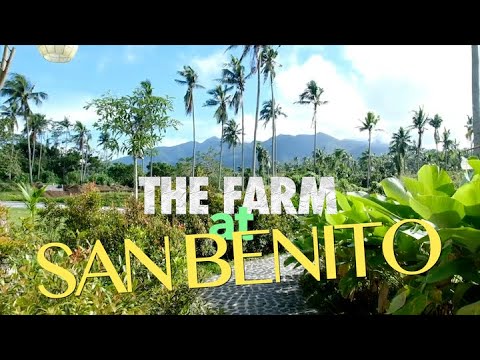 Escape to The Farm at San Benito | Celebrity-Favorite Wellness Resort Near Manila 🌿