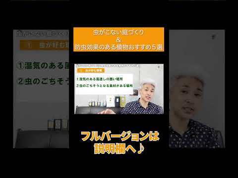 春に植えるべき防虫植物：家から害虫を追い出すトップ5！  庭園