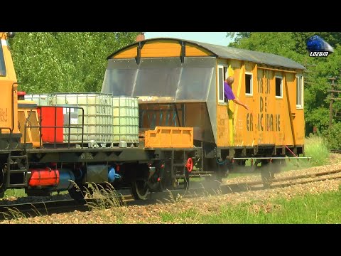 Trenuri în Biharia & Săcuieni Bihor/Trains in Biharia & Săcuieni Bihor - 07 June 2021