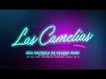 Las Camelias