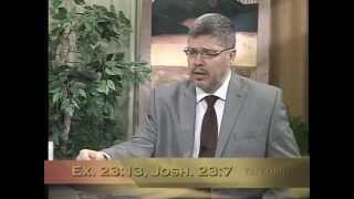 Video: Scroll of Esther - David Brett