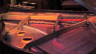 Would You Like To Take A Walk? Fox-Trot played by Frank Milne (1931)