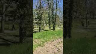 POI — wideo YouTube
