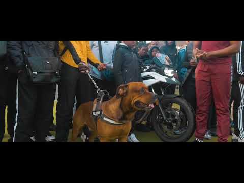 Cartier M - Nueve Cinco #1 [Clip Officiel]