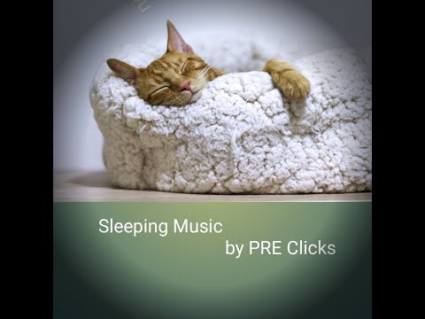 Sleeping Music Vol 1