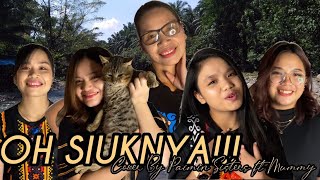 Download lagu OH SIUKNYA -Duyung || Cover by Paimin Sisters ft Mummy mp3 Download lagu OH SIUKNYA -Duyung || Cover by Paimin Sisters ft Mummy mp3