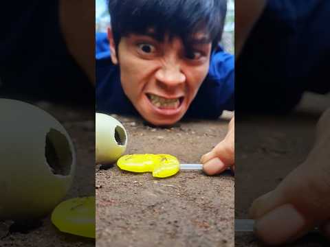 Be as cunning as Tarzan, this man has a genius way to make centipedes come out of their eggs