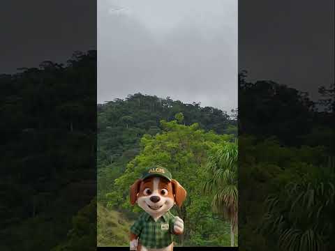 Nubes Que Abrazan Montañas