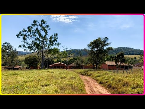 🌱 333 ALQ NA REGIÃO DE INHUMAS - FAZENDA À VENDA EM GOIÁS [🌱DUPLA APTIDÃO] #fazenda #tec2agro #gado