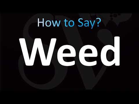 How to Pronounce Weed (CORRECTLY!)