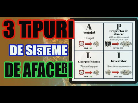 3 Tipuri de sisteme de afaceri Capitolul 4 |Cadranul banilor