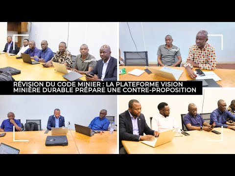 RDC: LA PLATEFORME VISION MINIERE DURABLE PEAUFINE SES AMENDEMENTS AUX PROJETS DE REVISION DU CODE MINIER