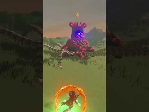 The BotW Secret Everyone Missed