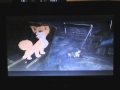 Opening To The Kid 2001 DVD