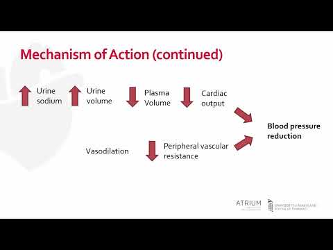 A Focus Series on Hypertension: Thiazide Diuretics