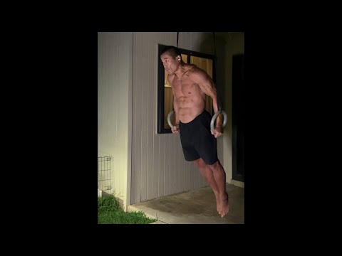 Day 328 FitPro Hawaii Workout - Ring Dip Lockouts + L-Sits - April 11, 2021, 9:42 pm