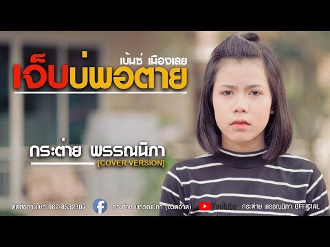 เจ็บบ่พอตาย - กระต่าย พรรณนิภา【 COVER VIDEO】original : เบนซ์ เมืองเลย