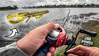 I Fished A NEW Soft Plastic Lure For Just 1 Hour... ("200 Ponds" Ep. 44)