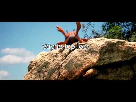 Vayne top lost