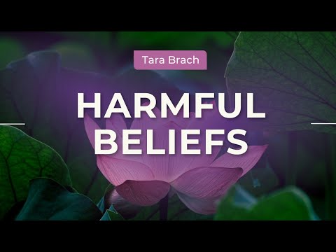 Real But Not True: Freeing Ourselves from Harmful Beliefs, with Tara Brach