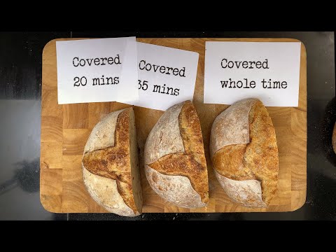 download lagu mp3 mp4 Bread Crust, download lagu Bread Crust gratis, unduh video klip Bread Crust