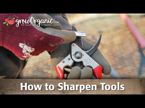 Sharpening Tools - Pruners, Loppers Shovels and More