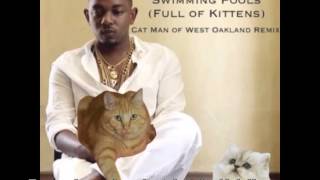 Swimming Pools (Full of Kittens) - Cat Man of West Oakland