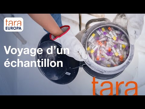 Découvrez comment sont stockés et envoyés les échantillons à bord de Tara | Tara Europa