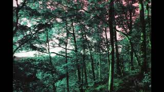Mark McGuire ‎– Light Movement (Full Album)