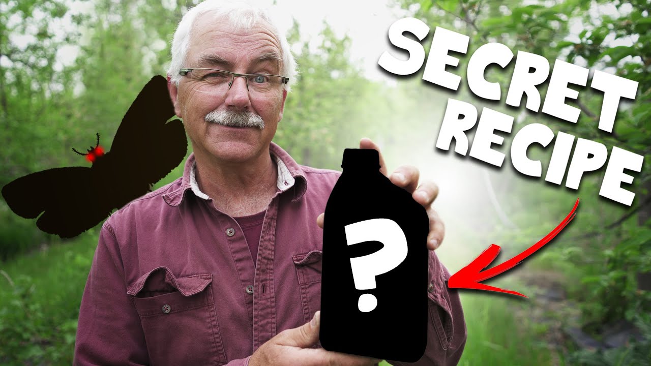 TRAPPING CODLING MOTH to eliminate worms in apples and pears - YouTube