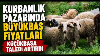 Kurbanlık Pazarında Büyükbaş Fiyatları Küçükbaşa Talebi Artırdı