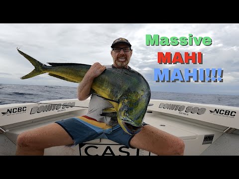 Big Mahi Mahi (Dolphin Fish/Dorado)!!! Catching a PB Mahi Mahi!!!