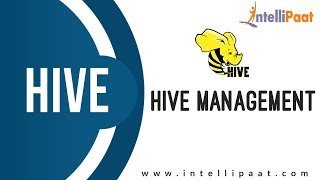 Hive Management & Optimization Tutorial | Hadoop Tutorial | Hadoop Training | Intellipaat
