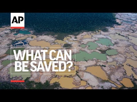 The Associated Press short documentary