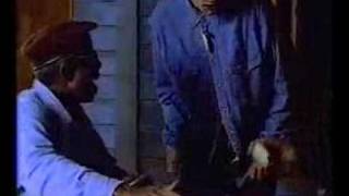 CURIOSITY KILLED THE CAT FIRST PLACE