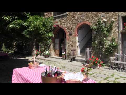 Heute "Fragolino" auf der Fattoria