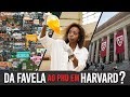 Da FAVELA Ao PHD Em HARVARD? - Entrevista Com Joana D'arc Félix | Looking Ahead
