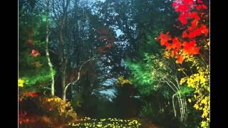 The Cusp of Magic (4/6) - Royal Wedding