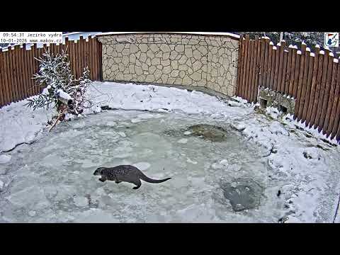 Libor rozbil ledy a Matýsek si jde pochutnat na rybičkách a užít si plavání