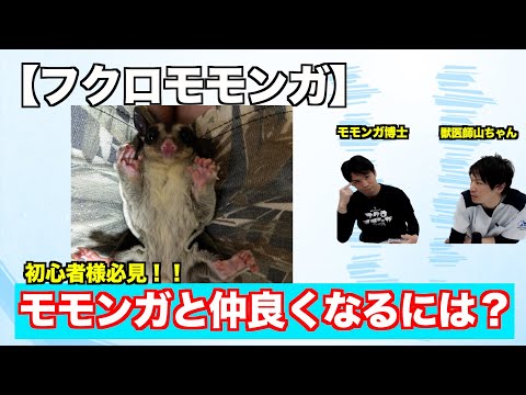 IUCN分類における絶滅の危険性を示す図。