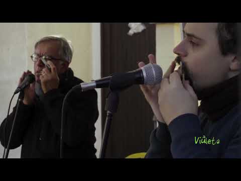 VIULETA-SOUN | edizione 2021 Gruppo musicale TRIBEBA (Valsesia -VC-)